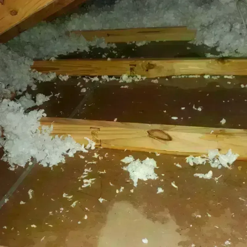 Attic Water Damage in Romney, WV